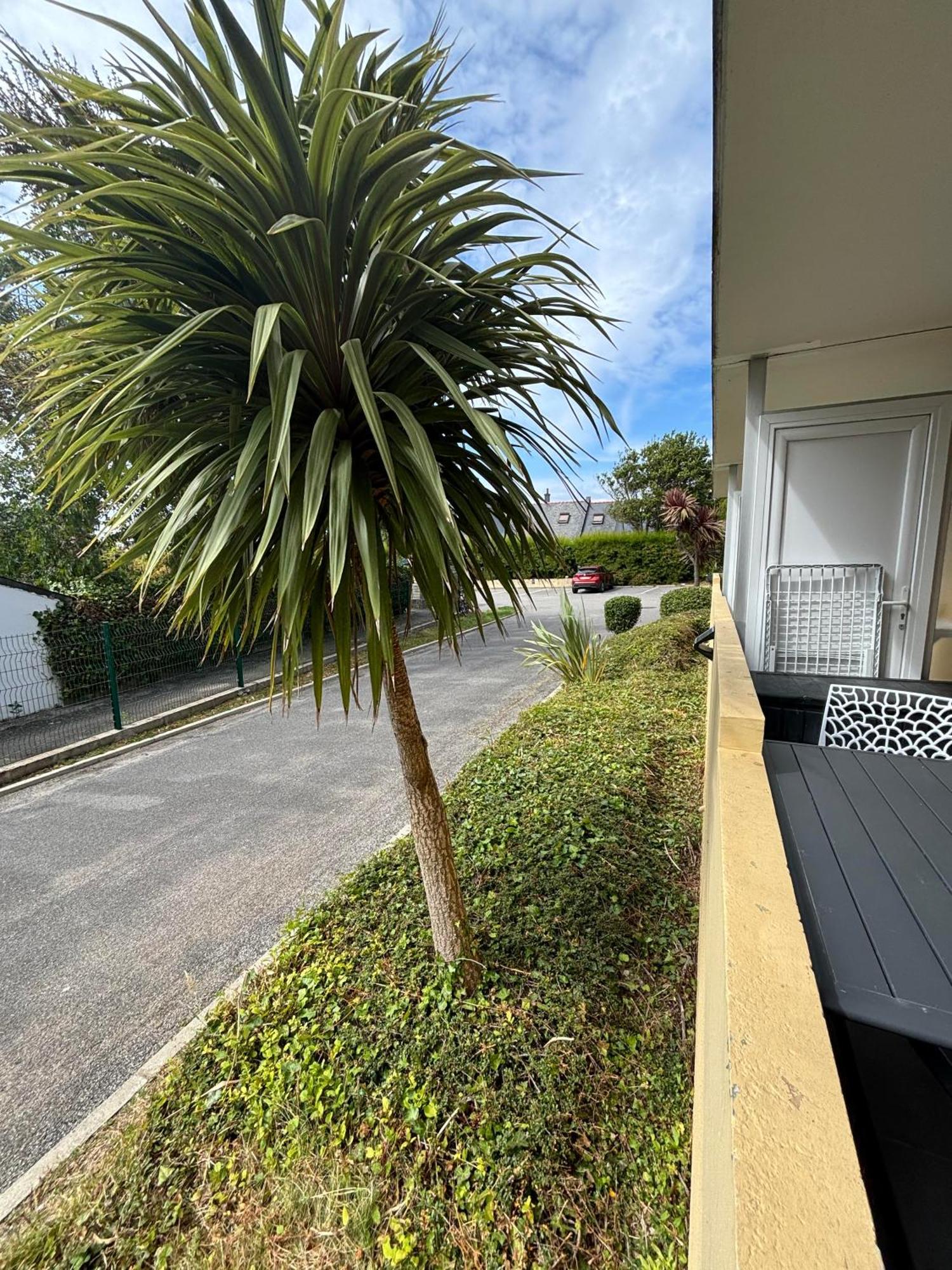 Appartement Studio 4 Personnes Dans Residence Avec Piscine Quiberon Luaran gambar